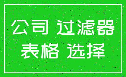 公司 过滤器_表格 选择