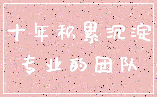 十年积累沉淀_专业的团队