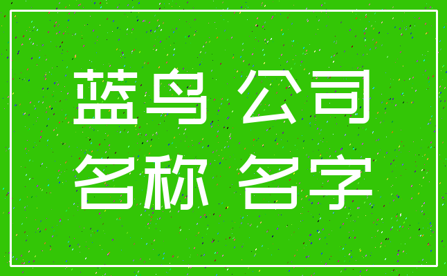 蓝鸟 公司_名称 名字