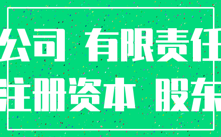 公司 有限责任_注册资本 股东
