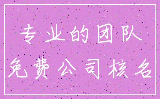 专业的团队_免费公司核名