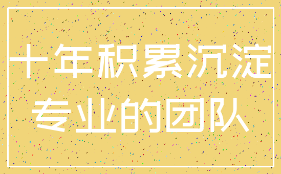 十年积累沉淀_专业的团队