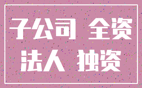 子公司 全资_法人 独资