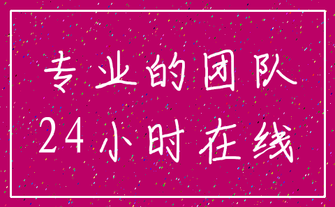 专业的团队_24小时在线