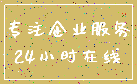 专注企业服务_24小时在线