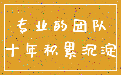 专业的团队_十年积累沉淀