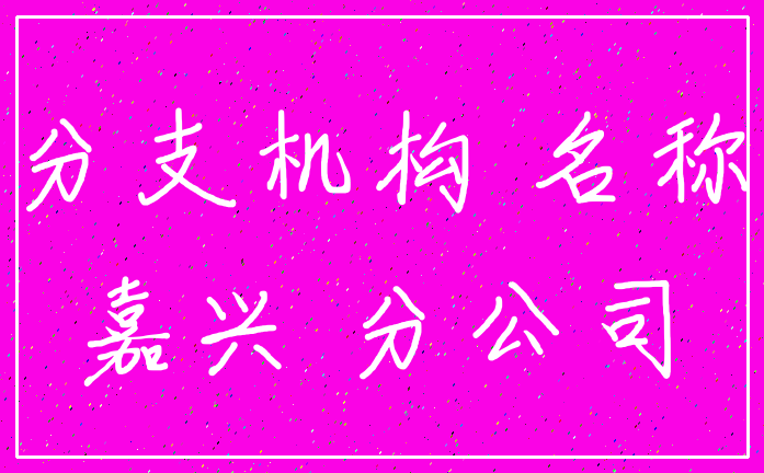 分支机构 名称_嘉兴 分公司