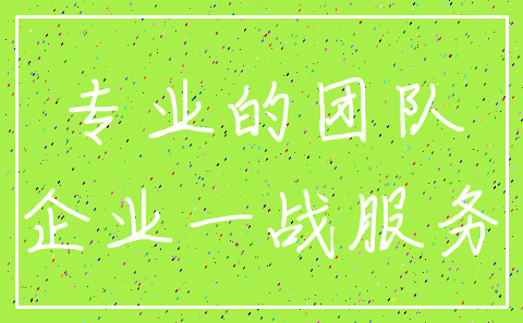 专业的团队_企业一战服务