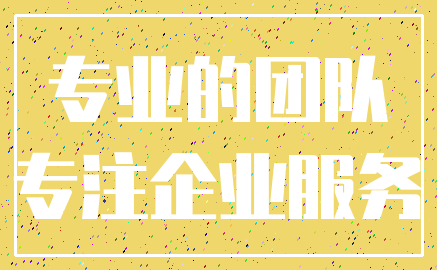 专业的团队_专注企业服务