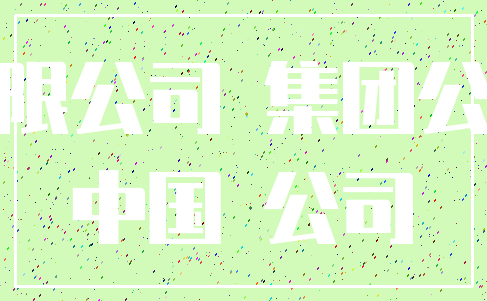 有限公司 集团公司_中国 公司