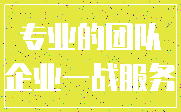 专业的团队_企业一战服务