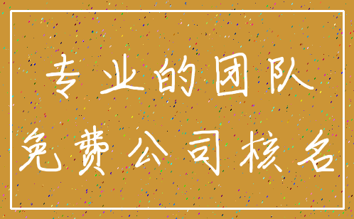 专业的团队_免费公司核名