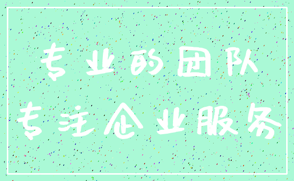 专业的团队_专注企业服务