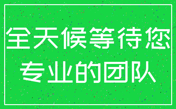全天候等待您_专业的团队