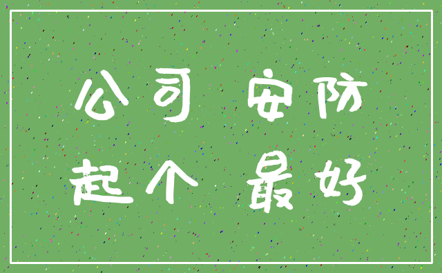 公司 安防_起个 最好