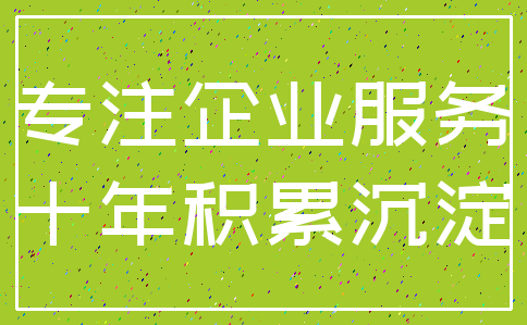 专注企业服务_十年积累沉淀