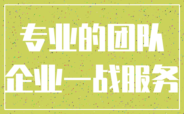 专业的团队_企业一战服务