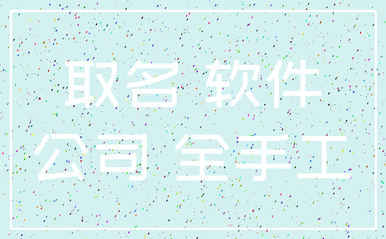 取名 软件_公司 全手工