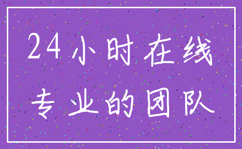 24小时在线_专业的团队