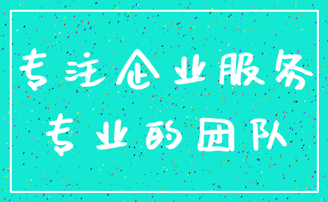 专注企业服务_专业的团队