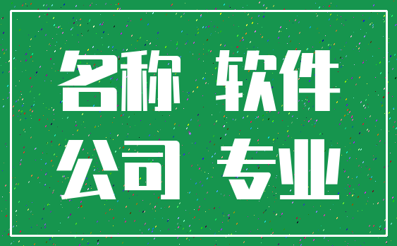 名称 软件_公司 专业