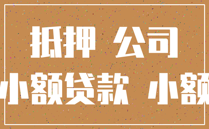抵押 公司_小额贷款 小额