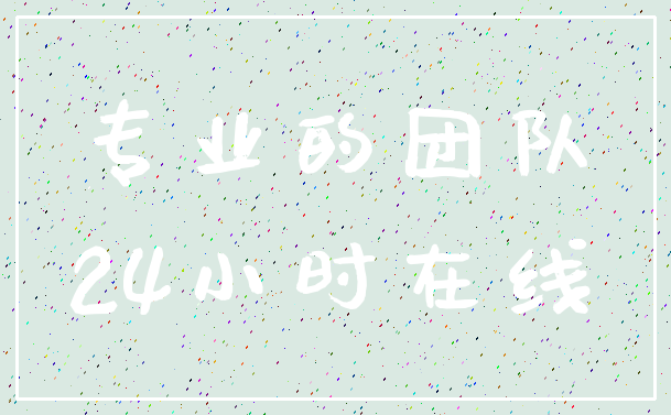 专业的团队_24小时在线