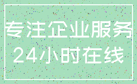 专注企业服务_24小时在线