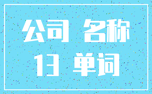 公司 名称_13 单词