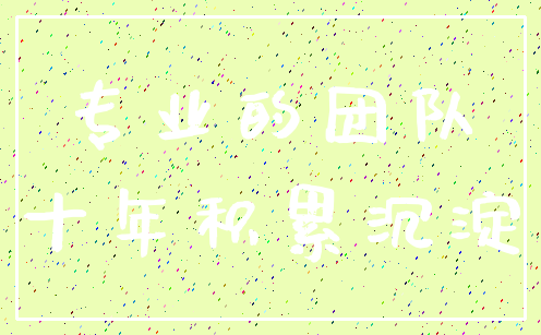 专业的团队_十年积累沉淀