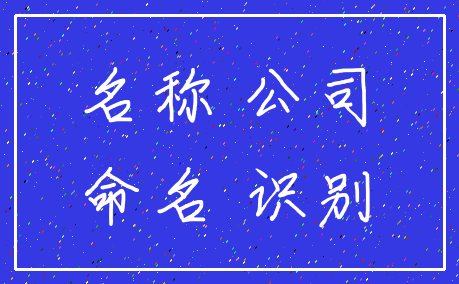 名称 公司_命名 识别