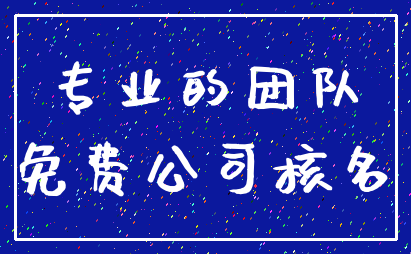 专业的团队_免费公司核名