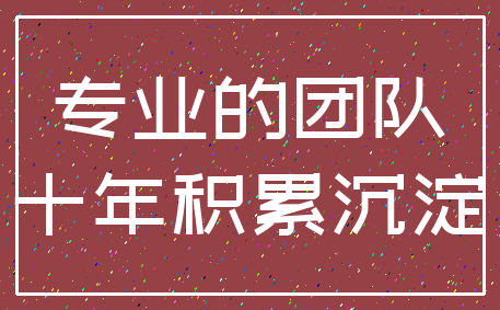 专业的团队_十年积累沉淀