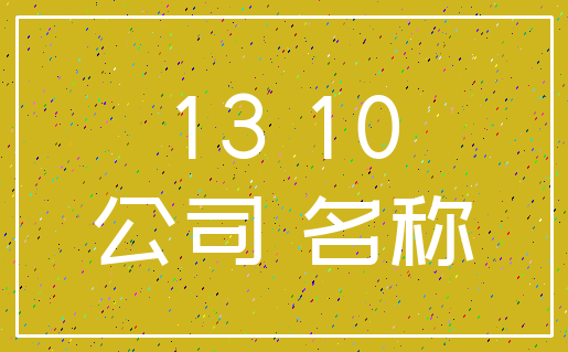 13 10_公司 名称