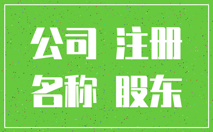 公司 注册_名称 股东