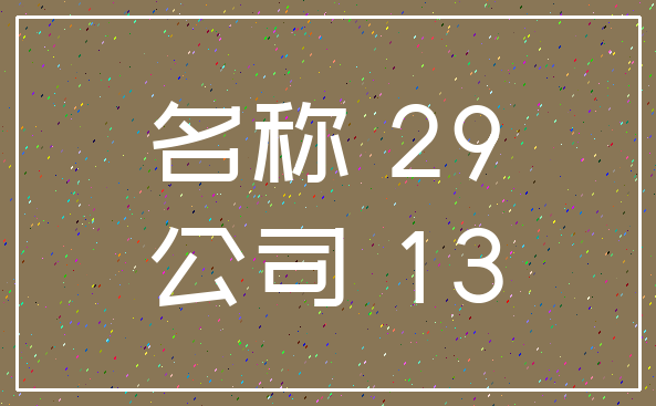 名称 29_公司 13