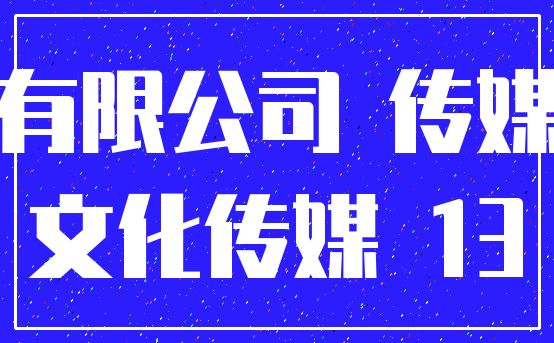 有限公司 传媒_文化传媒 13