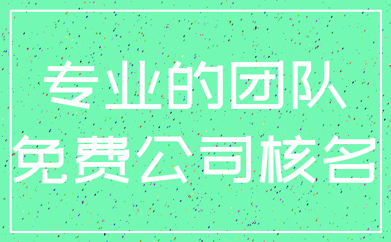 专业的团队_免费公司核名