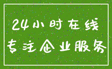 24小时在线_专注企业服务