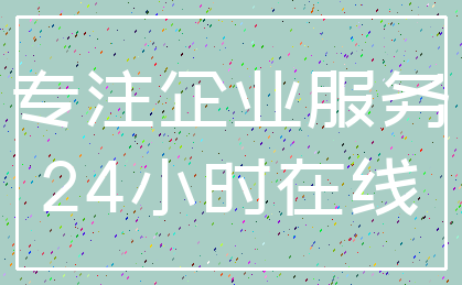 专注企业服务_24小时在线