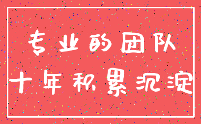 专业的团队_十年积累沉淀