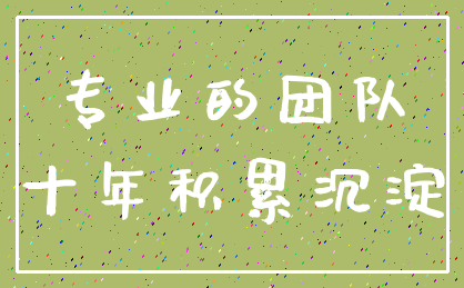 专业的团队_十年积累沉淀