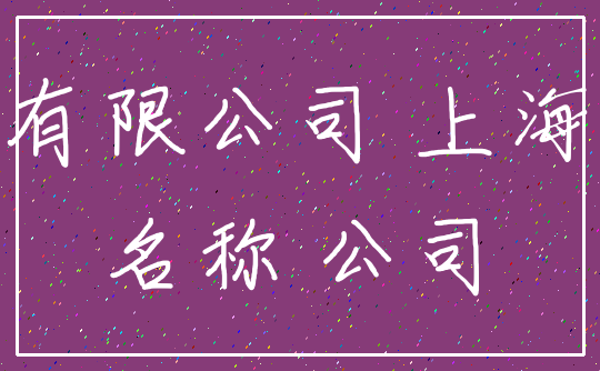 有限公司 上海_名称 公司