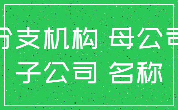 分支机构 母公司_子公司 名称
