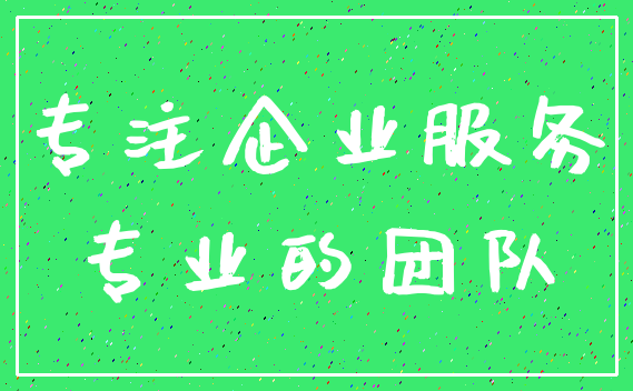 专注企业服务_专业的团队