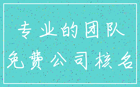 专业的团队_免费公司核名