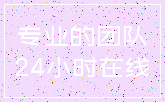 专业的团队_24小时在线