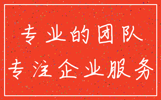 专业的团队_专注企业服务