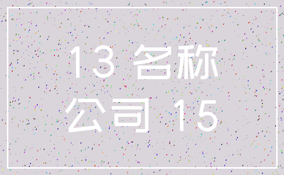 13 名称_公司 15