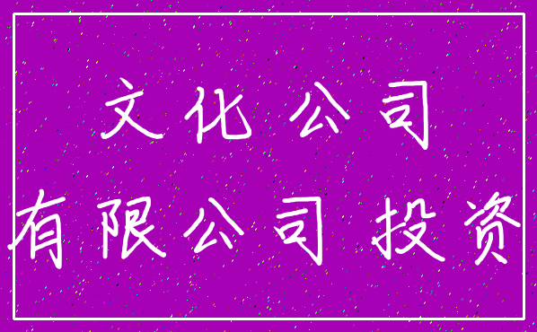文化 公司_有限公司 投资